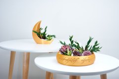 3D Printed Succulent Planter  Magical Elven Elegance Decor 