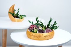 3D Printed Succulent Planter  Magical Elven Elegance Decor 