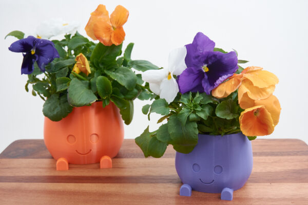 Cute plant pot | Smiling Pot | Smiley Face Pot | Sprinkle Some Joy in Your Plant | Corner Playful Planter | A Dash of Humor for Your Indoor Garden