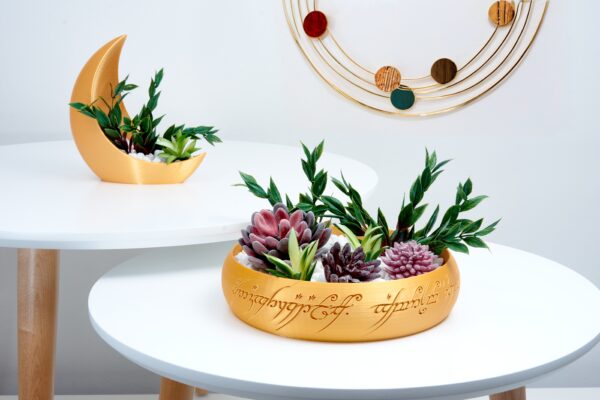 Fantasy Earth Ring | 3D Printed Succulent Planter | Magical Elven Elegance Decor & Gift for Plant Lovers and Fans of Plants